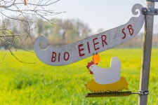 Bio Eggs Sign - Free photo on Pixabay