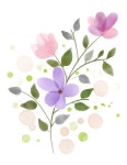 Download Watercolour Flower, Floral, Watercolor. Royalty-Free Stock Illustration Image - Pixabay Download Watercolour Flower... 