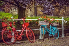 4,000+ Free Two Wheeler & Two Photos - Pixabay