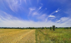 Field Ukraine Nature - Free photo on Pixabay