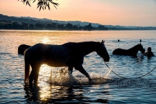 Sunset Nature Waters - Free photo on Pixabay