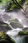 1,000+ Free The Brook & Brook Photos - Pixabay