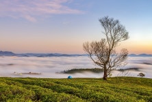 Morning Fog Sunshine - Free photo on Pixabay