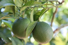 eliechocron - Pixabay Download free media from eliechocron | Pixabay