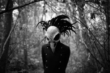 10+ Free Skull Bird & Skull Photos - Pixabay
