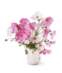 Bouquet White Cosmea - Free photo on Pixabay