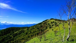 Mountain Mt 킹 - Pixabay의 무료 사진