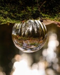 10,000+ Free Glass Ball & Crystal Ball Photos - Pixabay