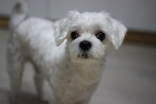 60,000개 이상 무료 Young 및 자연 사진 - Pixabay