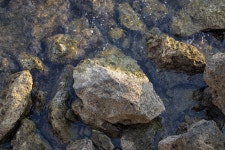 케네디 Dd 저것 - Pixabay의 무료 사진 - Pixabay 케네디 Dd 저것 - Pixabay의 무료 사진