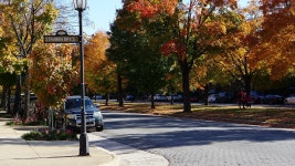 andrewawood - Pixabay Download free media from andrewawood | Pixabay