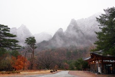 20 + 무료 Dm & 디엠 이미지 - Pixabay