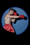 복싱 Ufc Kickboxing - Pixabay의 무료 사진