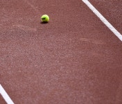 3,000+ Free Clay Court & Clay Photos - Pixabay