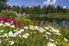 Estonia Summer Landscape - Free photo on Pixabay