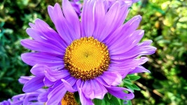 Pria_Berkarisma - Pixabay Download free media from Pria_Berkarisma | Pixabay