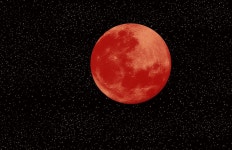 Blood Moon Full - Free photo on Pixabay