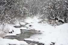 Snow Winter Brook - Pixabay의 무료 사진