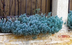 3,000+ Free ItS Also & Nature Images - Pixabay