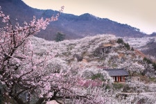 10개 이상 무료 광양 및 풍경 사진 - Pixabay