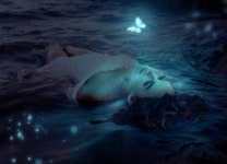 10,000개 이상 무료 아구 아 및 자연 사진 - Pixabay