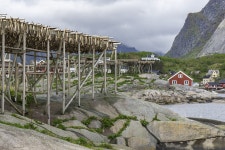 Lofoten Norway Scandinavia - Free photo on Pixabay - Pixabay Lofoten Norway Scandinavia - Free photo on Pixabay