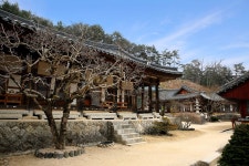 3+ Free Gimcheon & Korea Photos - Pixabay