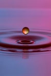 20+ Free Watermark & Nature Photos - Pixabay
