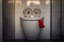 Crisis Toilet Paper Corona - Free photo on Pixabay