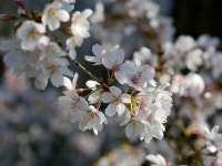 900+ Free März & March Images - Pixabay