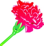 Free Carnations Vector Art - Download 21+ Carnations Icons & Graphics - Pixabay