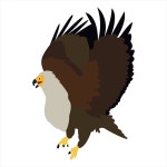Free Eagle Vector Art - Download 556+ Eagle Icons & Graphics - Pixabay