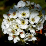 80,000개 이상 무료 Light 및 빛 사진 - Pixabay