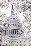 1,000+ Free Congress & Washington Dc Photos - Pixabay