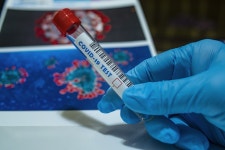 Covid-19 Coronavirus Quarantine - Free photo on Pixabay Free Image on Pixabay - Covid-19, Coronavirus, Quarantine