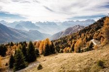 Autumn Mountain Pini - Free photo on Pixabay Free Image on Pixabay - Autumn, Mountain, Pini, Landscape