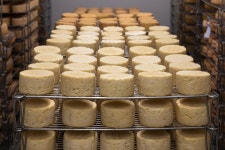 Cheese Refining Milk - Free photo on Pixabay