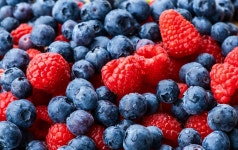 Berries Fruits Food - Free photo on Pixabay
