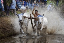 Race Track Speed Fast - Free photo on Pixabay