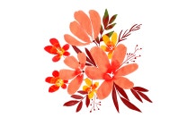 Explore 27,847+ Free Watercolour Flower Illustrations: Download Now - Pixabay