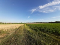 Field Country Agriculture - Free photo on Pixabay