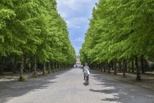 30,000+ Free Green Park & Nature Photos - Pixabay
