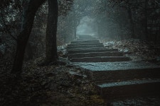 Mysterious Fog Path - Free photo on Pixabay Free Image on Pixabay - Mysterious, Fog, Path, Forest