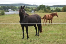 Germany Landscape Heaven - Free photo on Pixabay