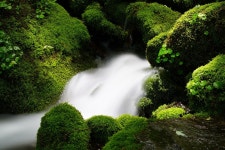 Waterfall Moss Korea - Pixabay의 무료 사진