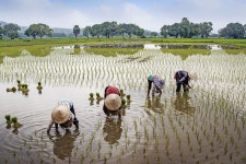 Field Farmer Rural - Free photo on Pixabay