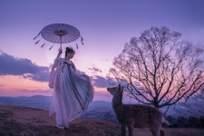 100,000 + 무료 여자 & 모델 이미지 - Pixabay