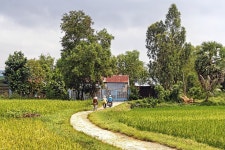 Road Path Grass - Free photo on Pixabay Free Image on Pixabay - Road, Path, Grass, House, Landscape