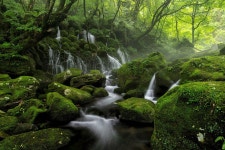 Japan Landscape Spring - Free photo on Pixabay