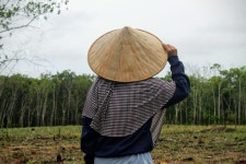 농장주 모자 사람 - Pixabay의 무료 사진